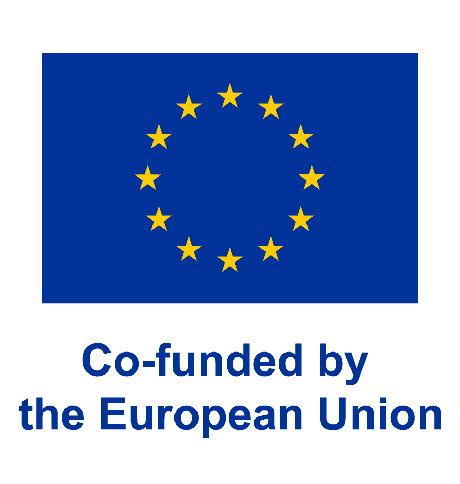 Co-funded by the EU
